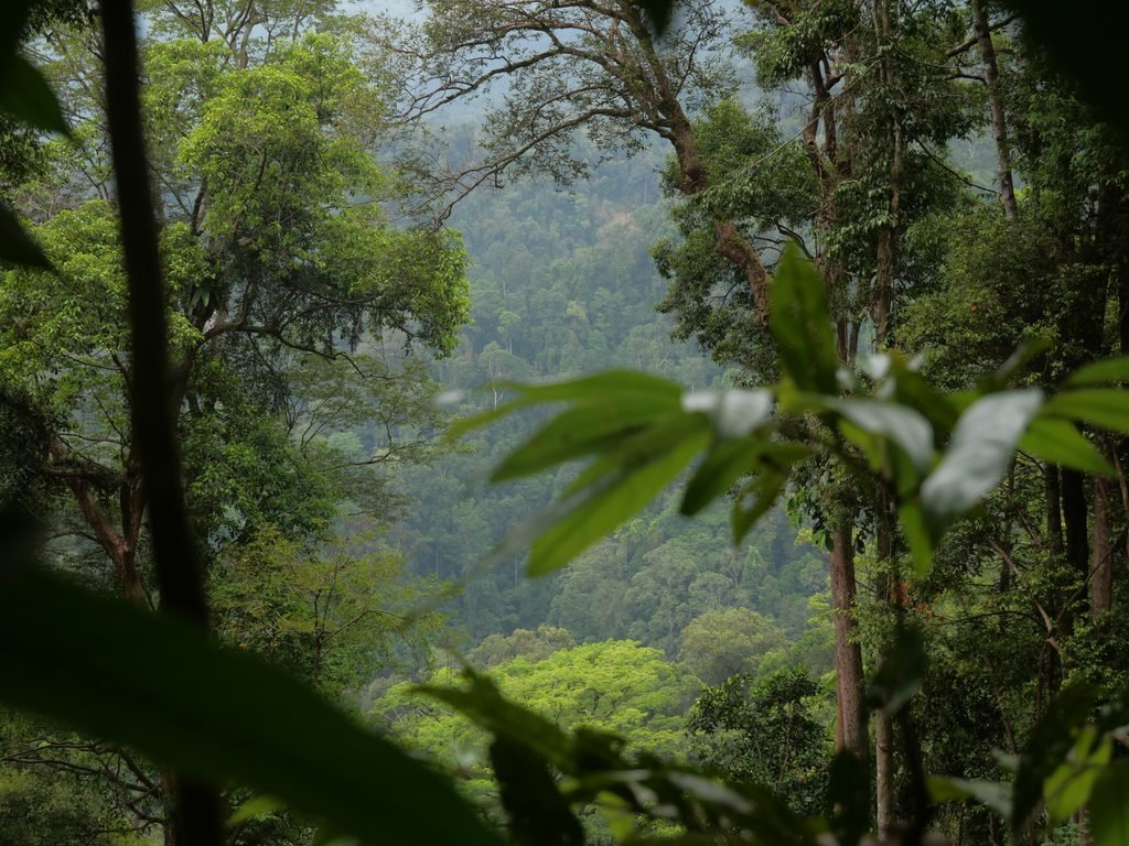 Suma Trek